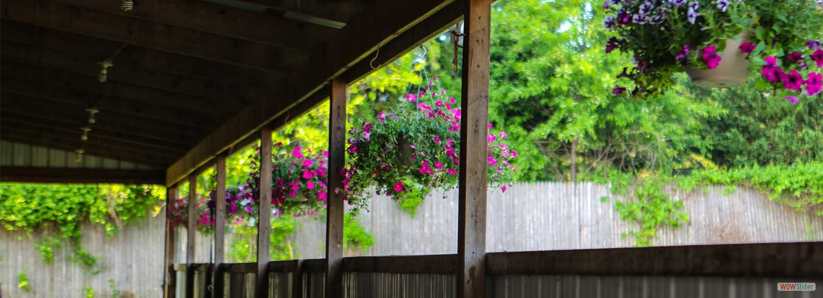 Barn Aisle